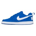 Pantofi sport NIKE COURT BOROUGH LOW (GS) 839985-401